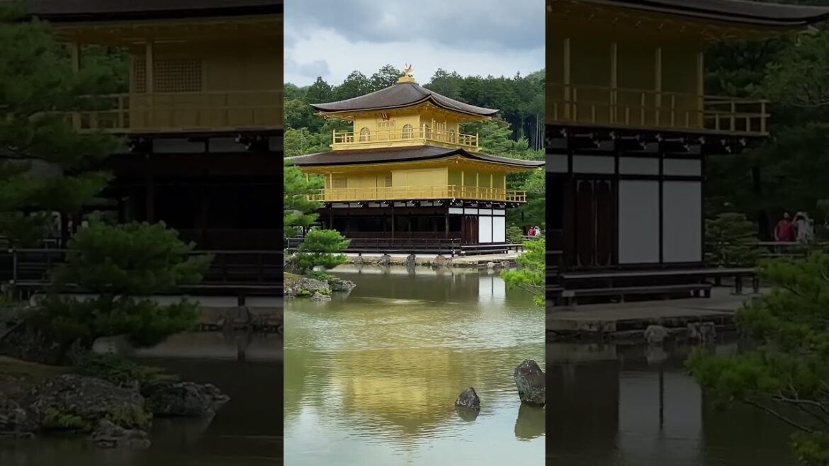 Kinkakuji the Golden Temple in Kyoto - #Shorts! 🏯