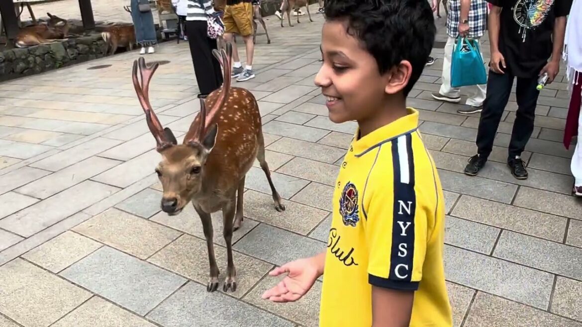 Japan Tour-Part 2. Osaka & Nara