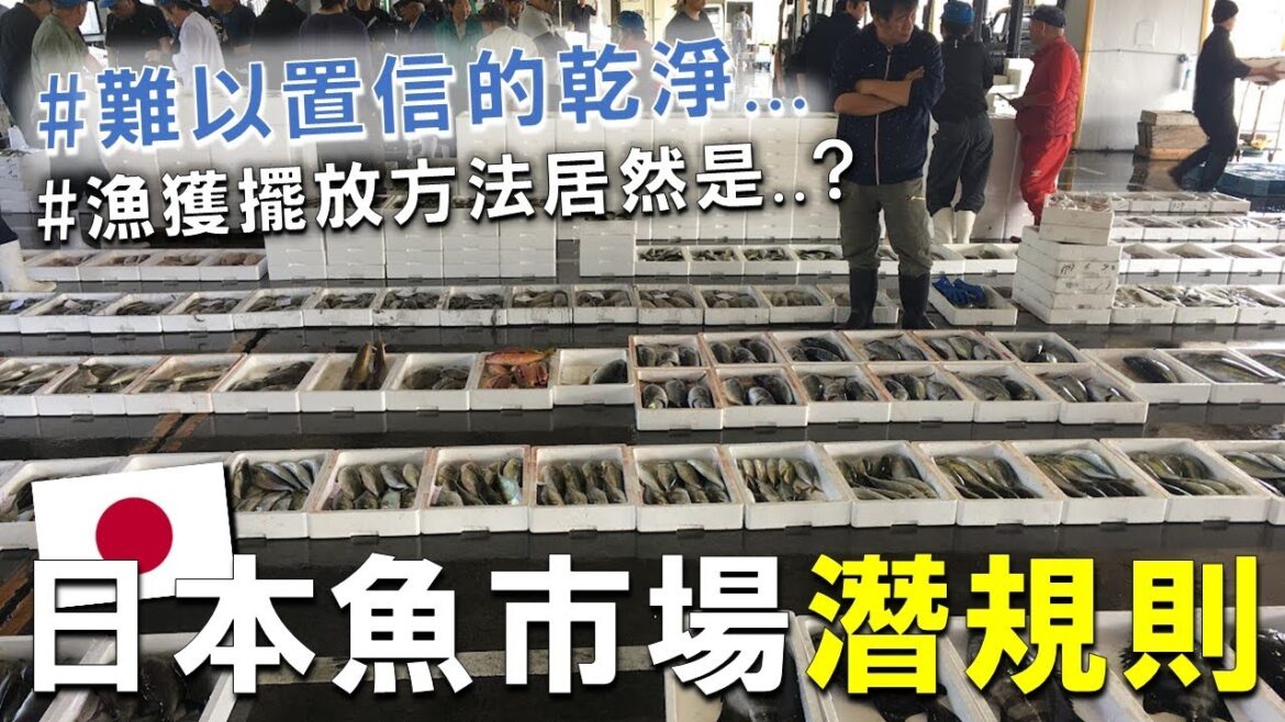 日本批發魚市場超多潛規則 ? !  來東九州縣下最大魚市場！看日本職人示範極速活締血拔 !  (4集/？？） ft.大分漁協鶴見支店 Japan fishmarket