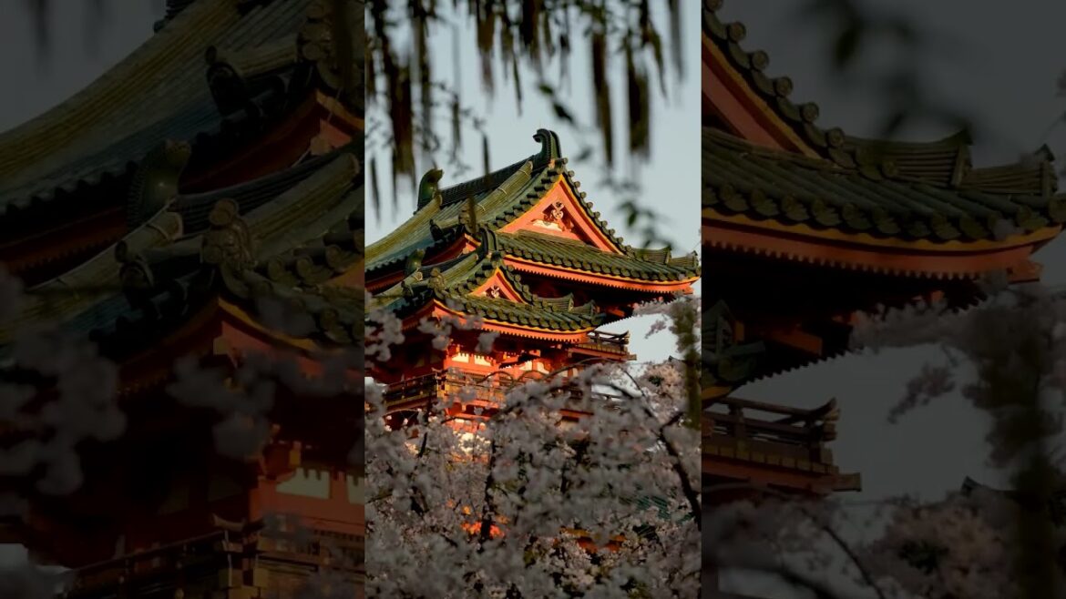 Heian-Jingu is an untapped treasure of Kyoto! #japan #kyoto #shrine #shorts  #ytshorts #fyp #fypシ