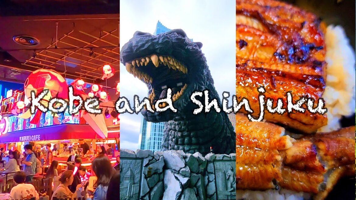 Japan Travel Vlog May 2023 | Guide for a day trip to Kobe | Hitting the streets of Shinjuku