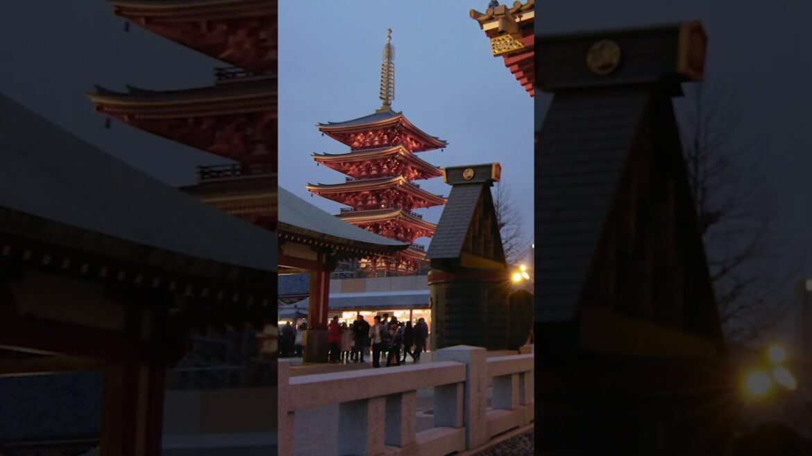 Top 10 things to do in Tokyo Japan-Senso Ji shrine Meiji Temple Tokyo Japan vacation guide #shorts Top 10 things to do in Tokyo Japan-Senso Ji shrine Meiji Temple Tokyo Japan vacation guide #shorts