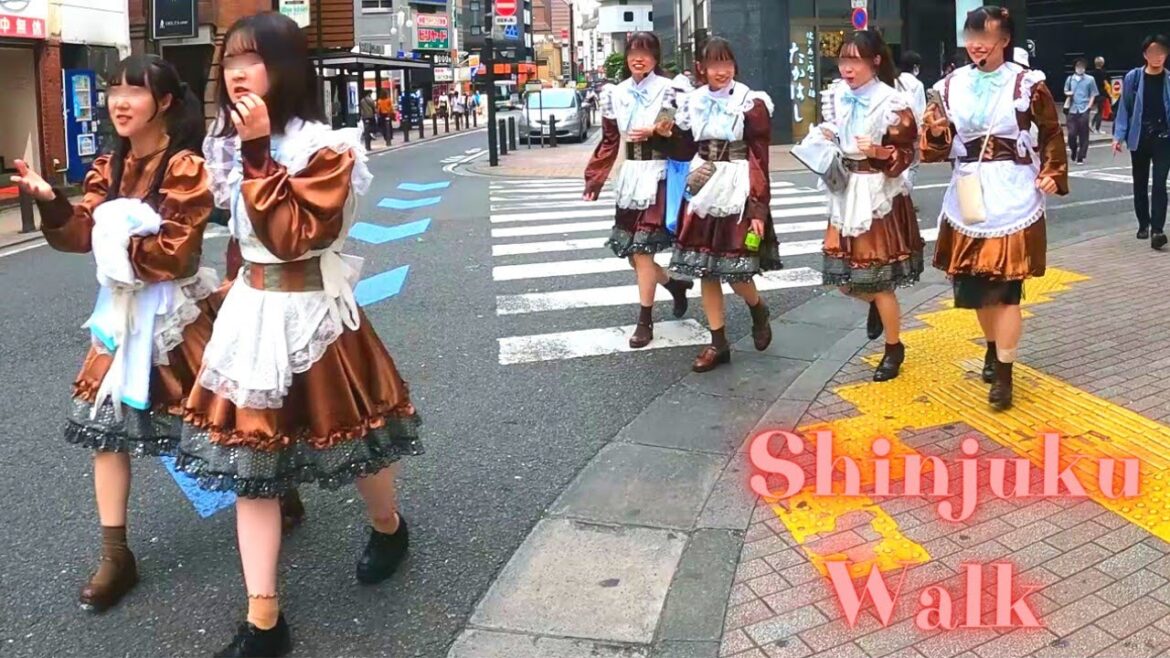 Kabukicho Shinjuku Tokyo in Japan walking tour.【4K】7.2023-5