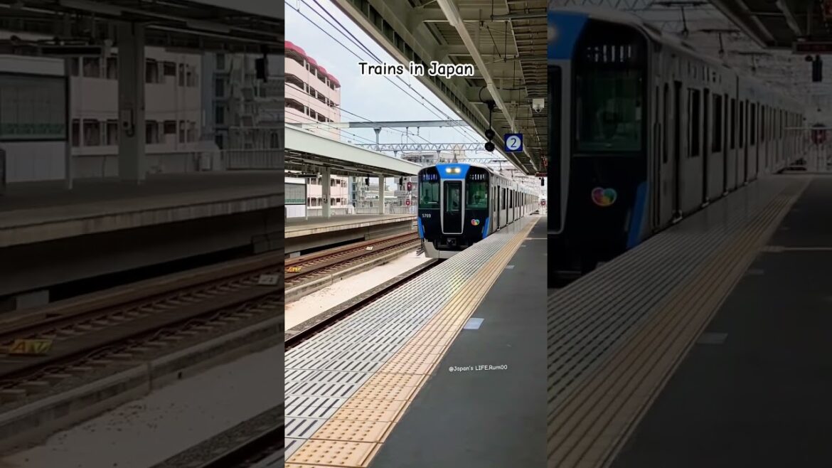 Train approaching  #日本 #train #railway #japan #travel #জাপান #shorts #asia #kobecity