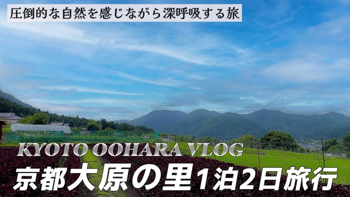 京都大原の三千院や寂光院など有名観光スポットを巡る旅をしてきました! 京都大原の三千院や寂光院など有名観光スポットを巡る旅をしてきました!