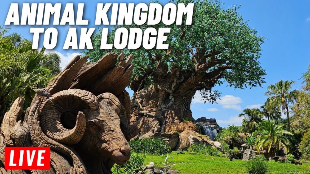 🔴 LIVE: Animal kingdom to Animal kingdom lodge Resort hopping 6/28/2023 🔴 LIVE: Animal kingdom to Animal kingdom lodge Resort hopping 6/28/2023