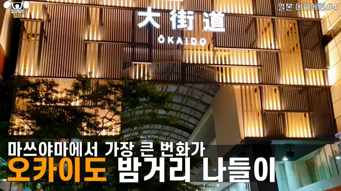 일본 마쓰야마에서 가장 큰 번화가 오카이도 상점가 밤거리 둘러보기 [일본 에히메현 여행 4편]