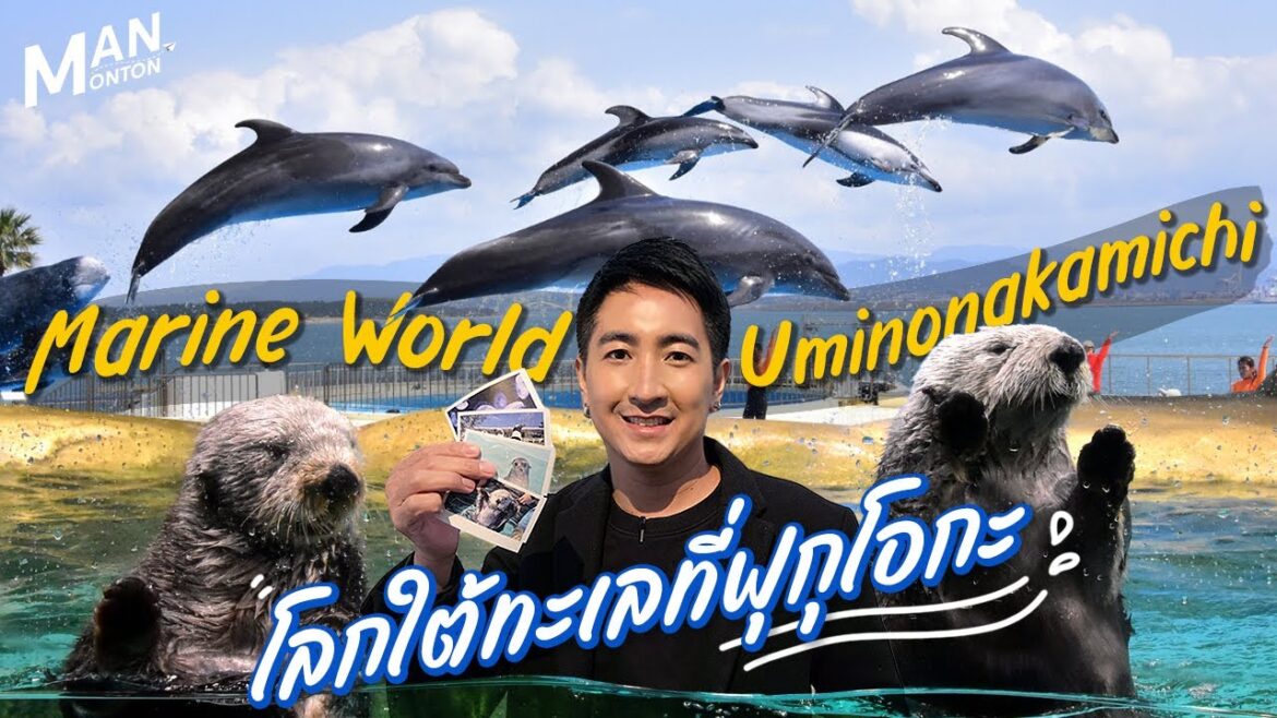 Marine World Uminonakamichi พิพิธภัณฑ์สัตว์น้ำที่ใหญ่ที่สุดในญี่ปุ่น | Outing Man JAPAN Marine World Uminonakamichi พิพิธภัณฑ์สัตว์น้ำที่ใหญ่ที่สุดในญี่ปุ่น | Outing Man JAPAN