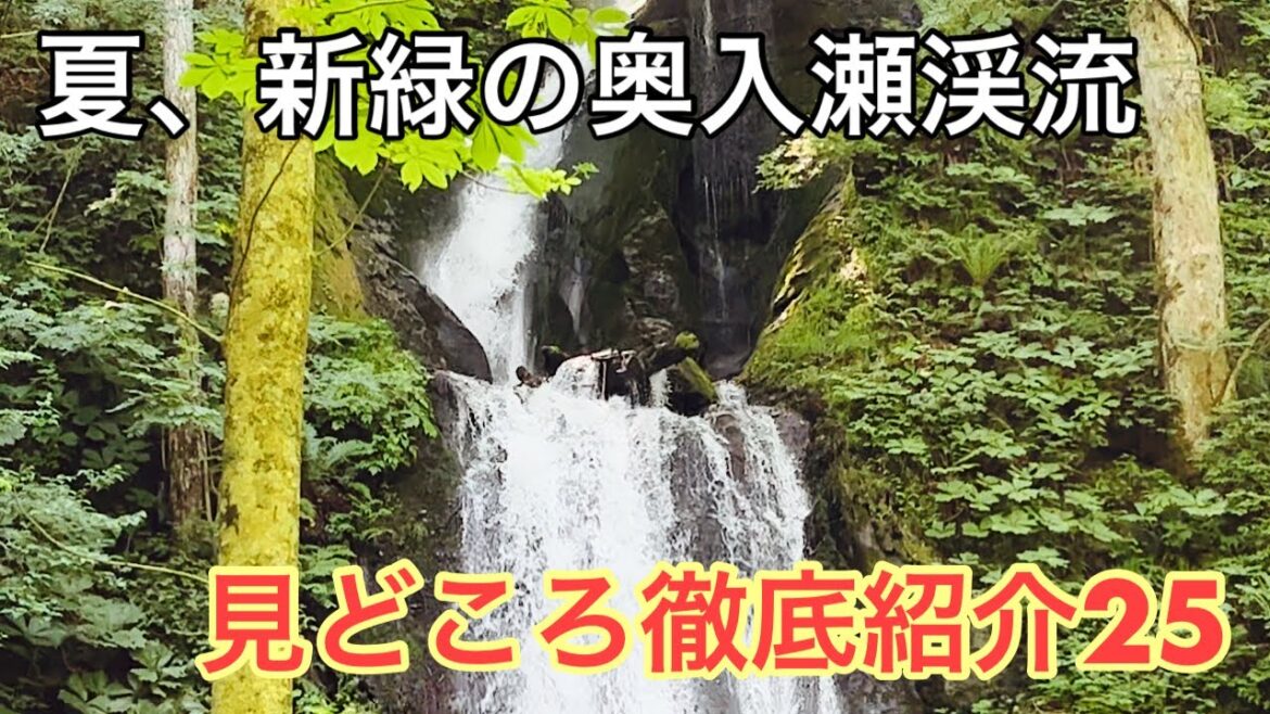 青森旅行24　夏、新緑の奥入瀬渓流　見どころ徹底紹介25！！阿修羅の流れ、雲井の滝、白糸の滝、銚子大滝 Aomori, nature, trekking