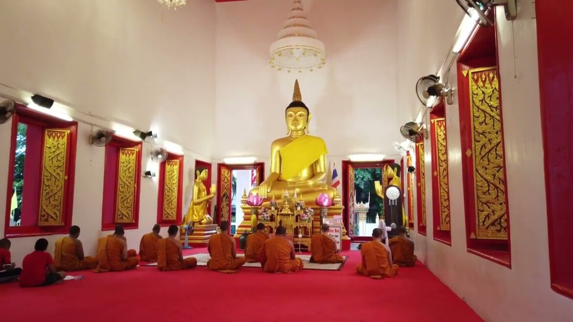 Phuket thailand walking tour / walk relax / 4K 60 fps Phuket thailand walking tour / walk relax / 4K 60 fps