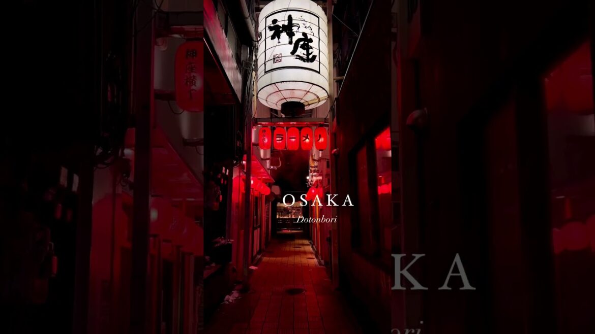 Osaka | Torii Whispers #japan #osaka #japaneseculture #japantravel #japanvlog #japantrip #japanlife