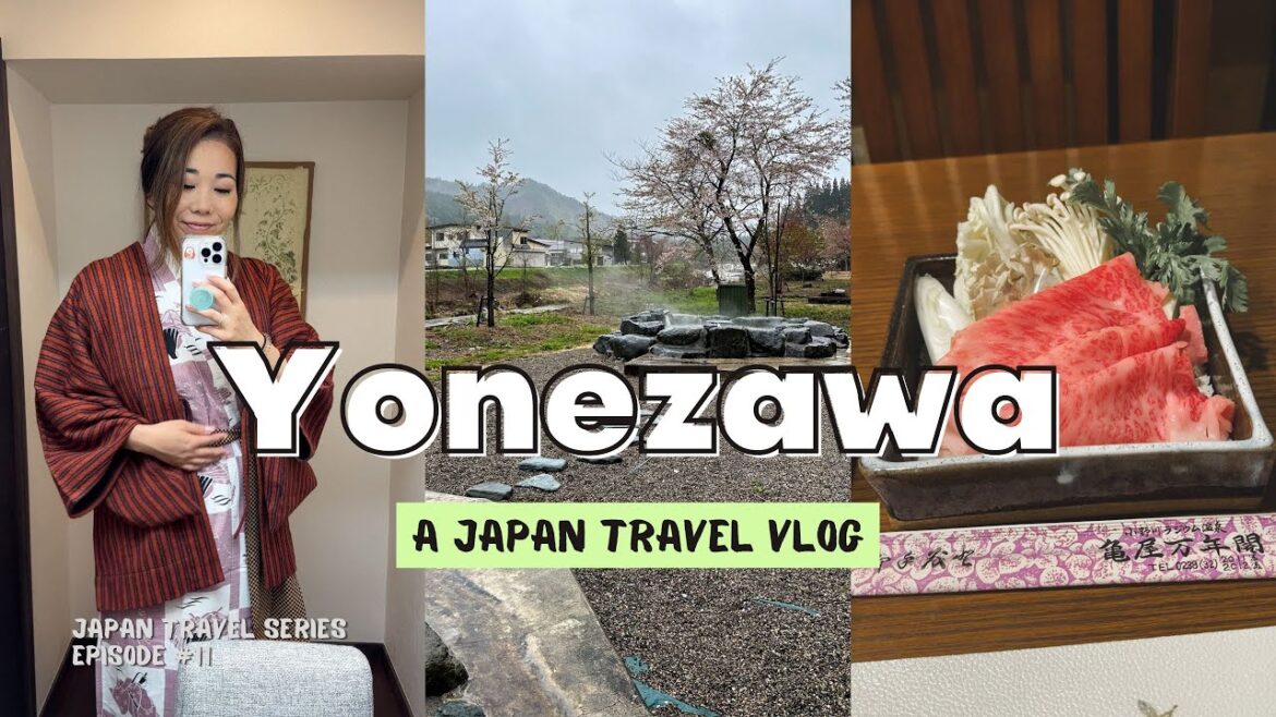 From Tokyo to YONEZAWA (PART 1): Totoro Forest, Ryokan Stay in Japan, exploring an onsen town ♨️ From Tokyo to YONEZAWA (PART 1): Totoro Forest, Ryokan Stay in Japan, exploring an onsen town ♨️