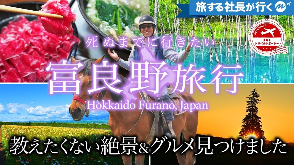 【保存版】富良野と美瑛1泊２日大人の絶景グルメ旅ベストモデルコース【北海道旅行・厳選おすすめ観光スポット・ドライブ】