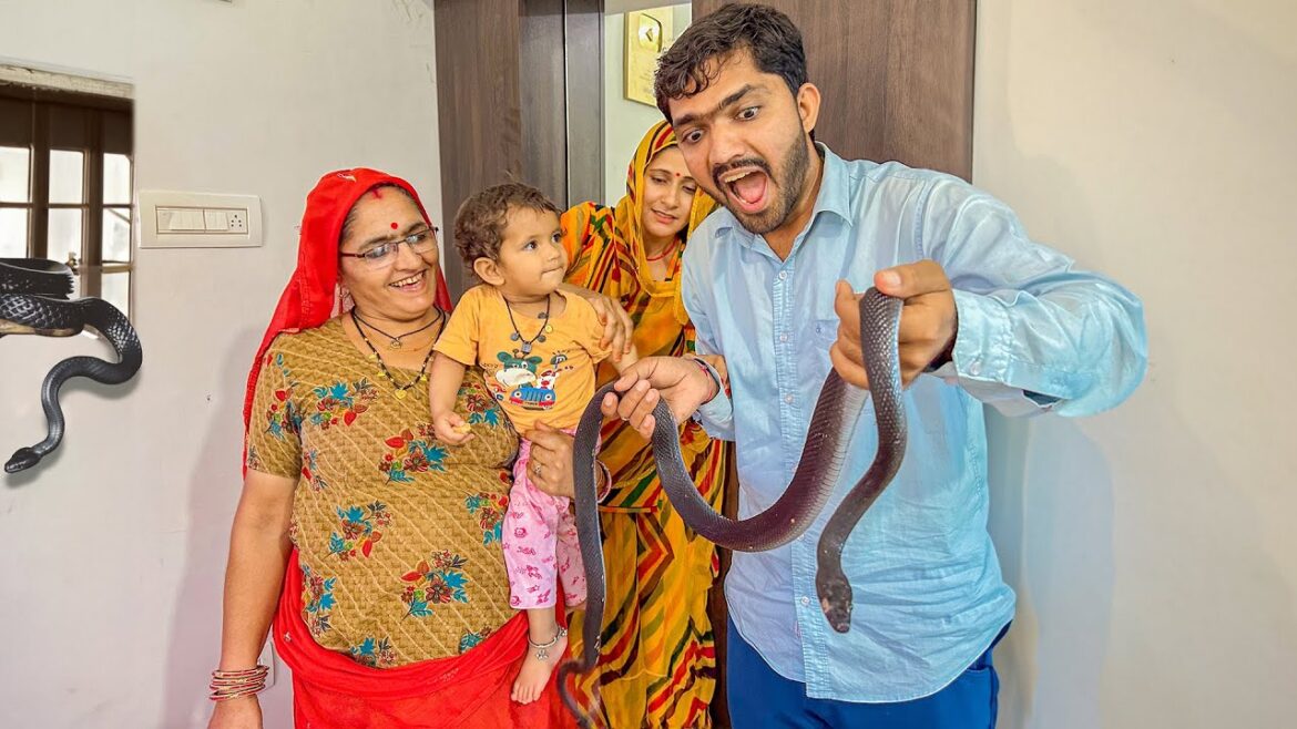 सांप आ गया घर में 😲 sab darr rhe hai – shivnya pakad rhi hai सांप आ गया घर में 😲 sab darr rhe hai - shivnya pakad rhi hai