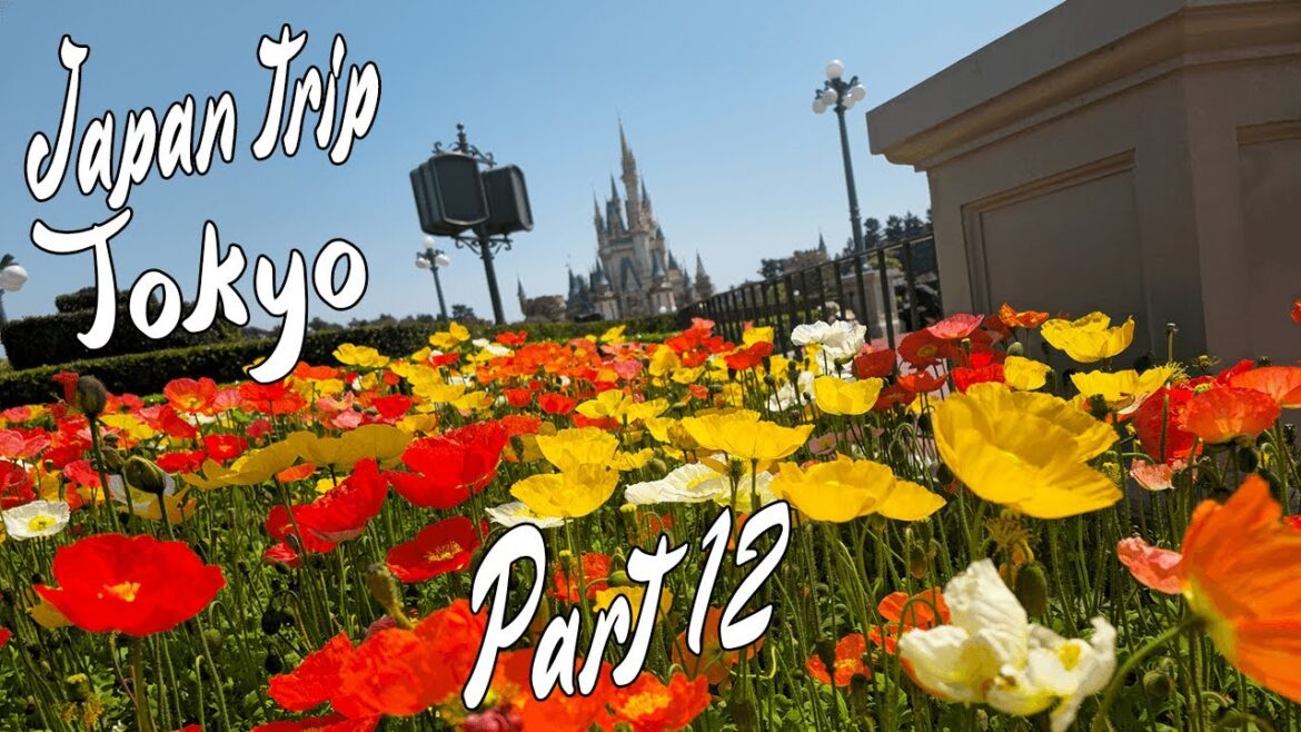 Japan Trip April 2023 Travel VLOG #12 - TOKYO - Final Day Disneyland Tokyo. Reunited with our Puppy.