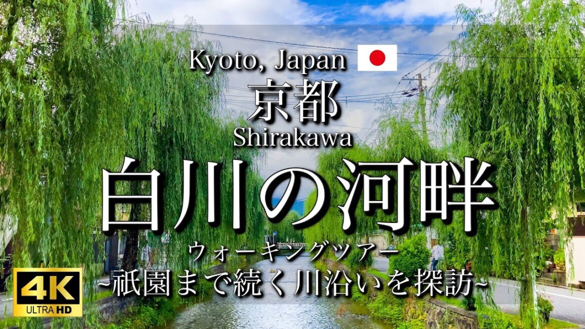 [京都|Kyoto]美しい景観の"白川沿い"を観光｜祇園まで続く素晴らしい散策路｜Beautiful Shirakawa (Vlog)[4K]
