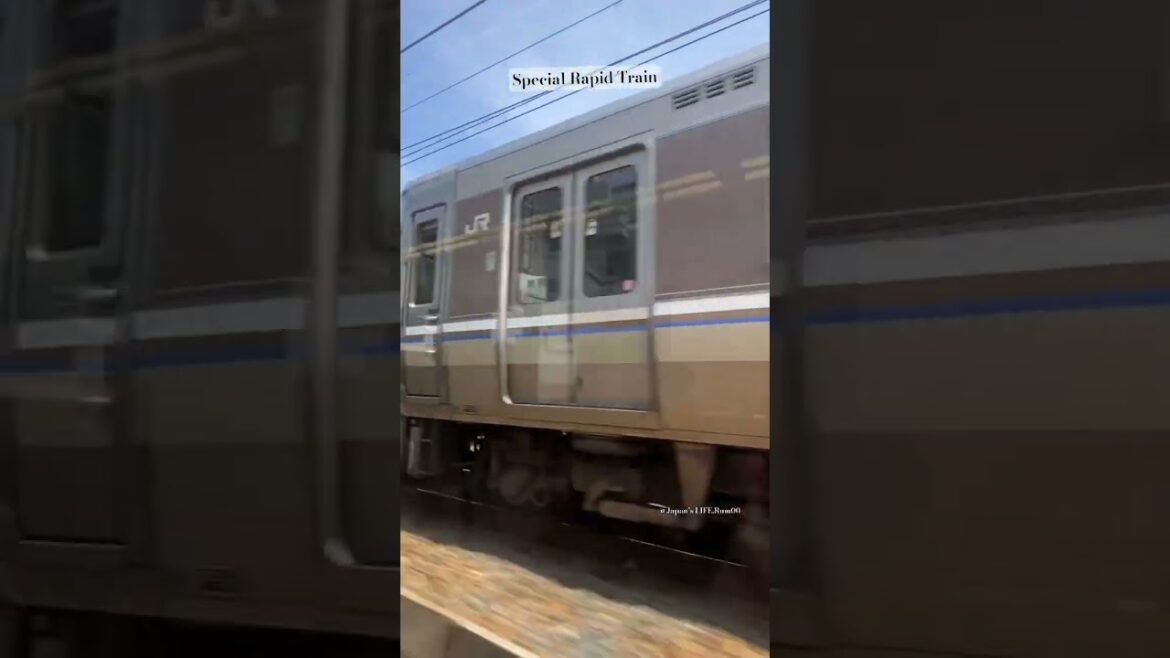 Train crossing #railway #travel #train #日本 #japan #specialservices #shorts #জাপান