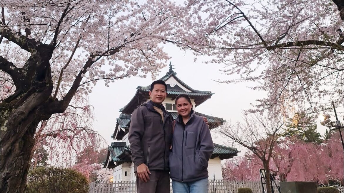 Japan2023 Gala Yuzawa Disneyland Aomori Hirosaki Hakkoda Morioka Kakunodate Ueno