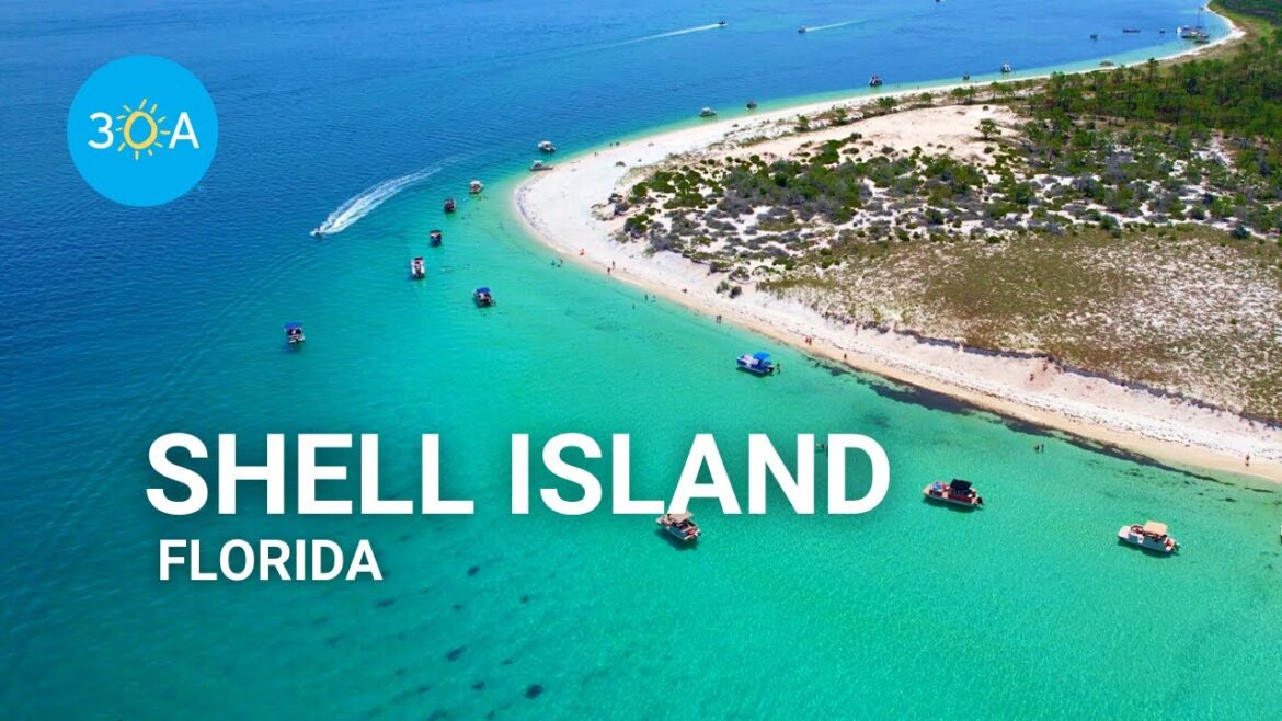 Shell Island, Panama City Beach, Florida! Shell Island, Panama City Beach, Florida!
