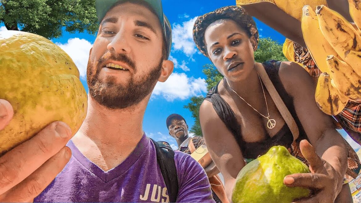 What Can $10 Get in Central African Republic? What Can $10 Get in Central African Republic?