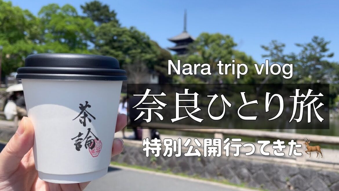 SUB【奈良/女ひとり旅】旅する元気だけはあるので弾丸日帰り観光してきた【鹿苑】 SUB【奈良/女ひとり旅】旅する元気だけはあるので弾丸日帰り観光してきた【鹿苑】