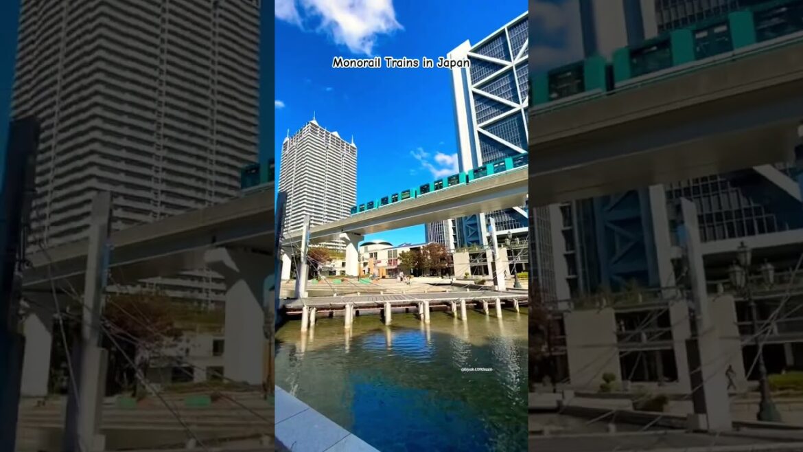 Driverless Monorail  in Japan #日本 #japan #railway #train #shorts #travel #জাপান #asia #monorail