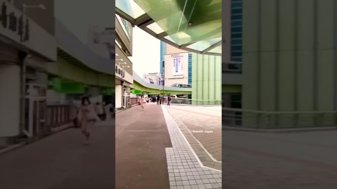 Driverless Monorail in Japan #japan #日本 #railway #train #monorail #hyogo #travel #shorts #asia #jr