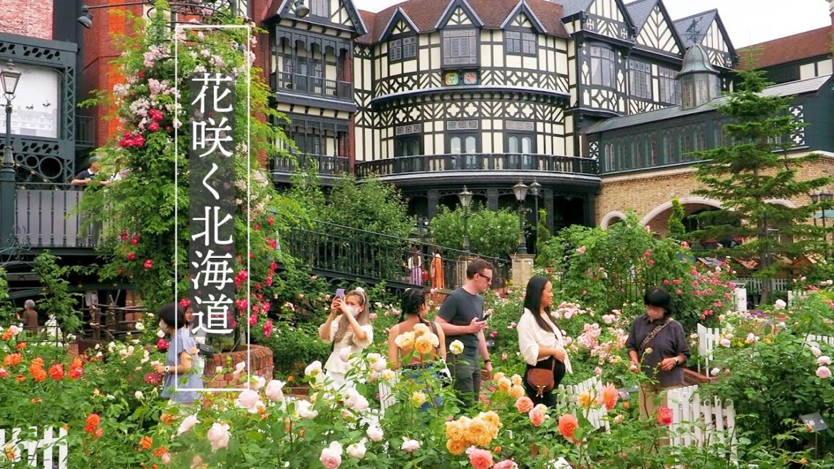 【Private Gardens】The Private Gardens of Confectionery Manufacturers in Hokkaido #rose #roses