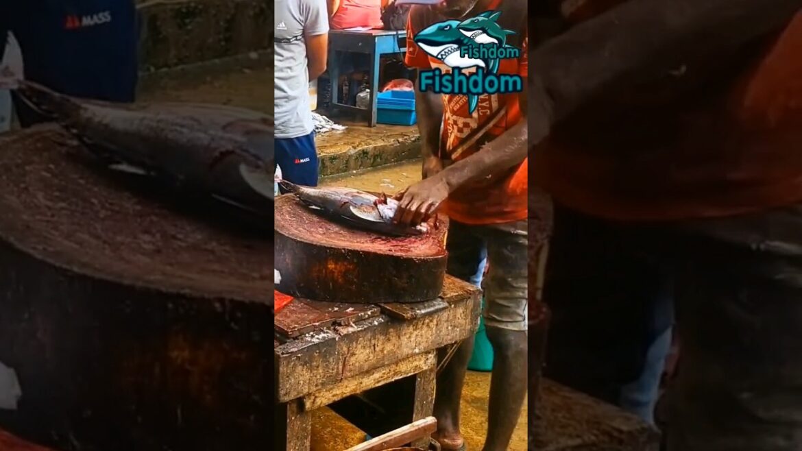 Amazing! Skipjack tuna fish cutting #fishmarket #fishcut #fishcutting #fishcuttingskill #centurytuna