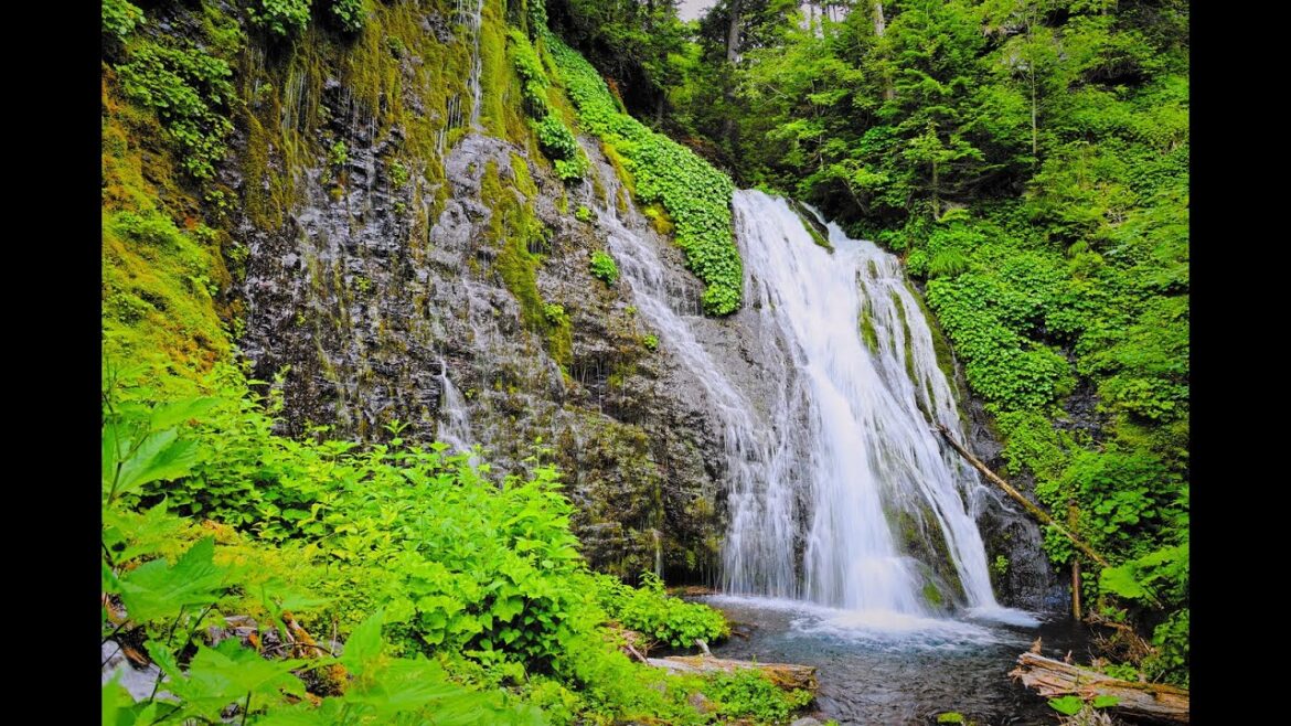 8K HDR 北海道 男鹿の滝 岩間から流れ落ちる清流と植生 Hokkaido,Ojikanotaki
