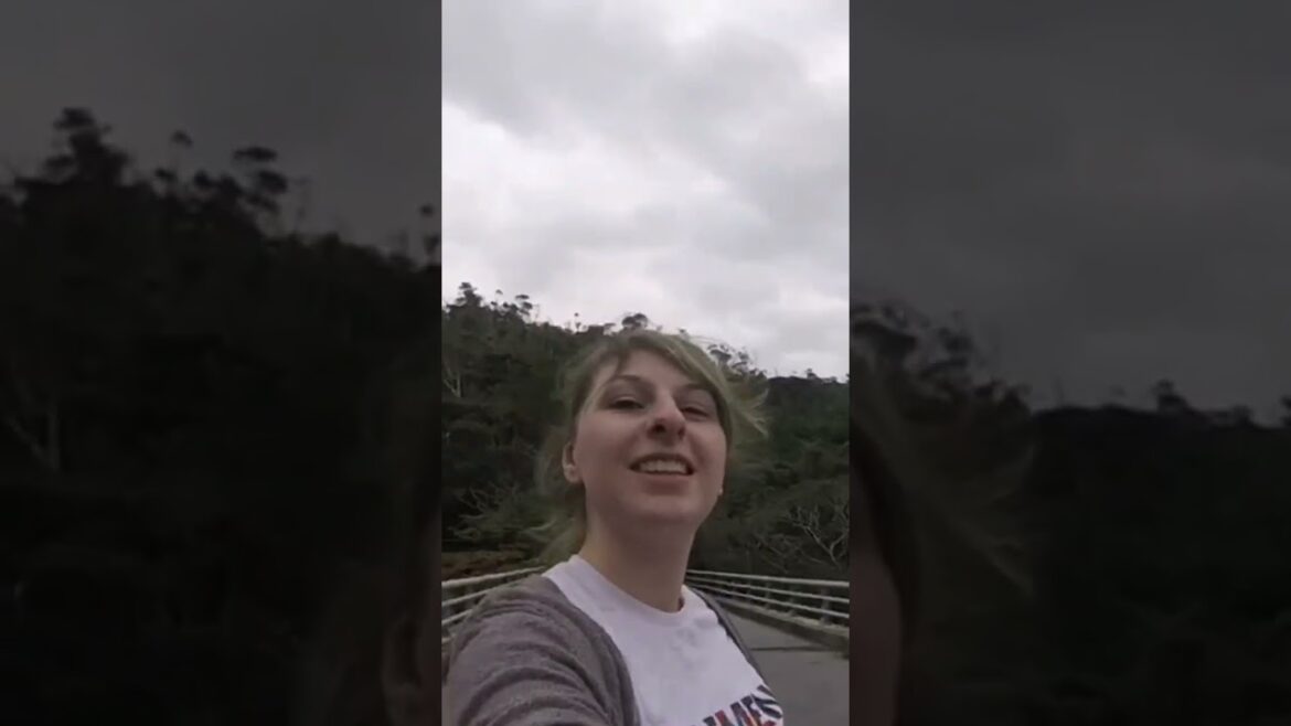 Road Trip! #roadtrip ! #okinawa #japan #food #travel #adventure Road Trip! #roadtrip ! #okinawa #japan #food #travel #adventure