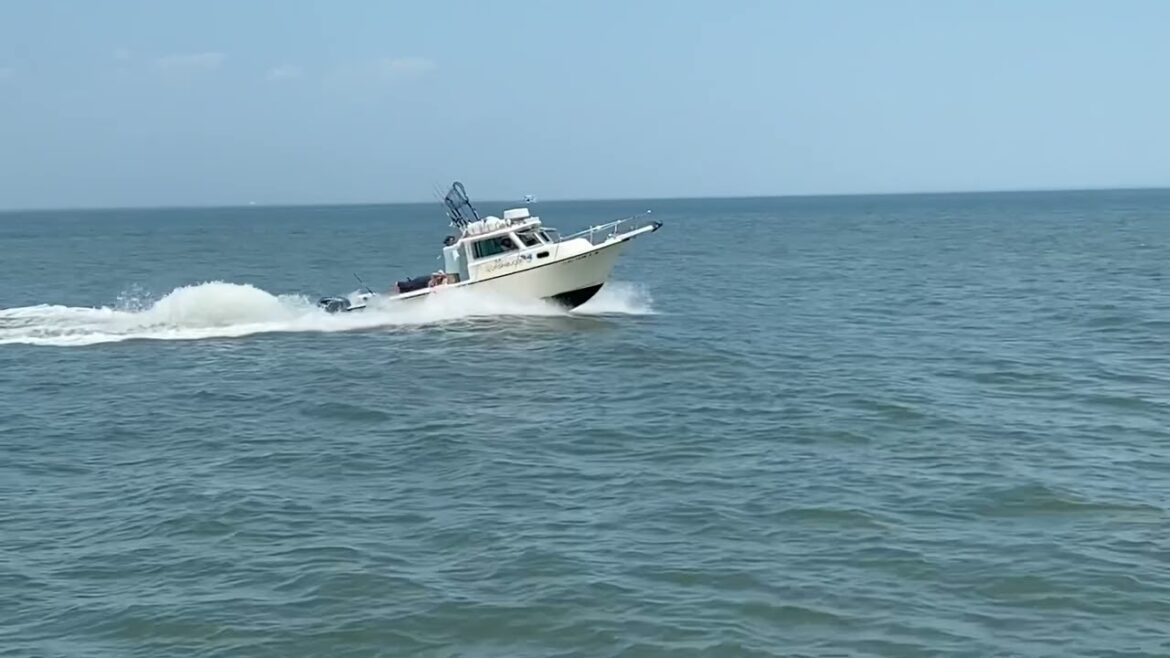 My 2022 Vacation Day 6 (Dolphins!)