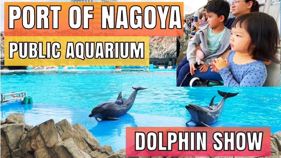 Exploring the Wonders of Port of Nagoya Public Aquarium and Dolphin Show with Kids 名古屋港水族館  海豚表演