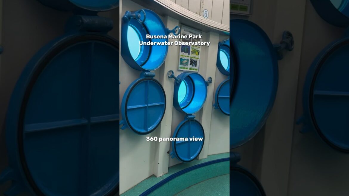 🐠Busena Marine Park Underwater Observatory | 沖繩部瀬名岬海中展望塔｜ブセナ海中公園 #okinawa #travel #japan