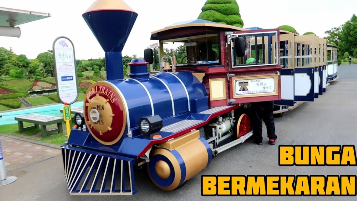 Hamamatsu | Shizuoka University | Hamamatsu Flower Park | #3