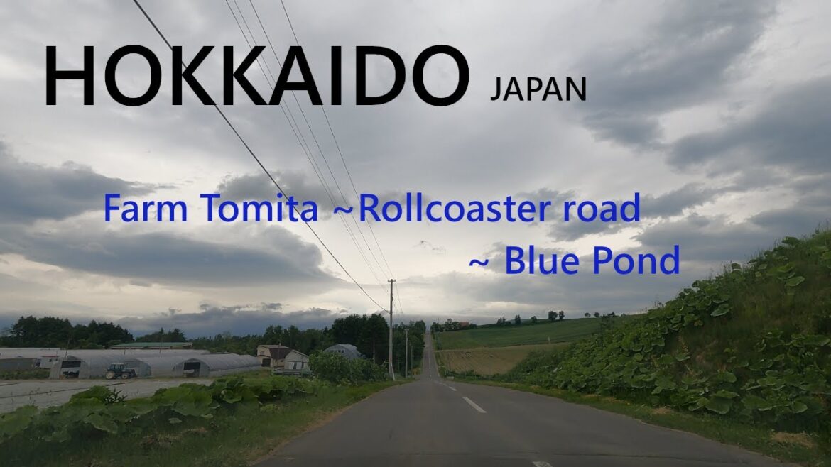 北海道　ファーム富田～青い池  ４K [#0003]