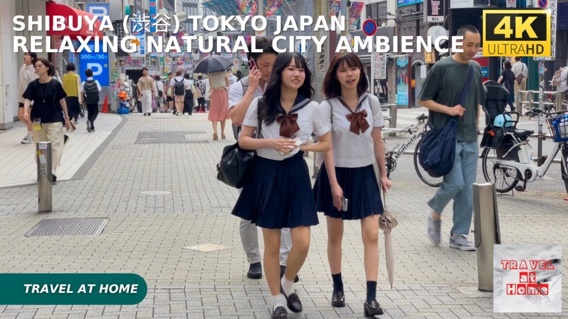 4k hdr japan travel | Walk in Shibuya (渋谷) Tokyo japan |  Relaxing Natural City ambience