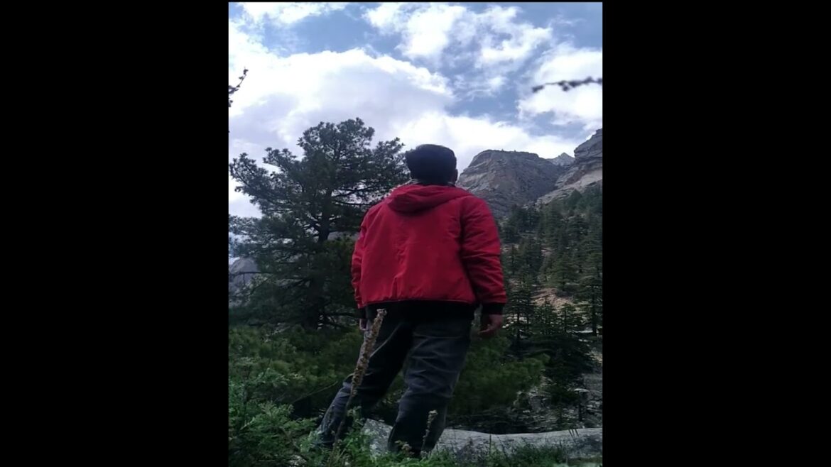 Pandav Gufa Ki Trecking | Part-2 | Pandav Gufa Gangotri | Gangotri National Park Pandav Gufa Ki Trecking | Part-2 | Pandav Gufa Gangotri | Gangotri National Park