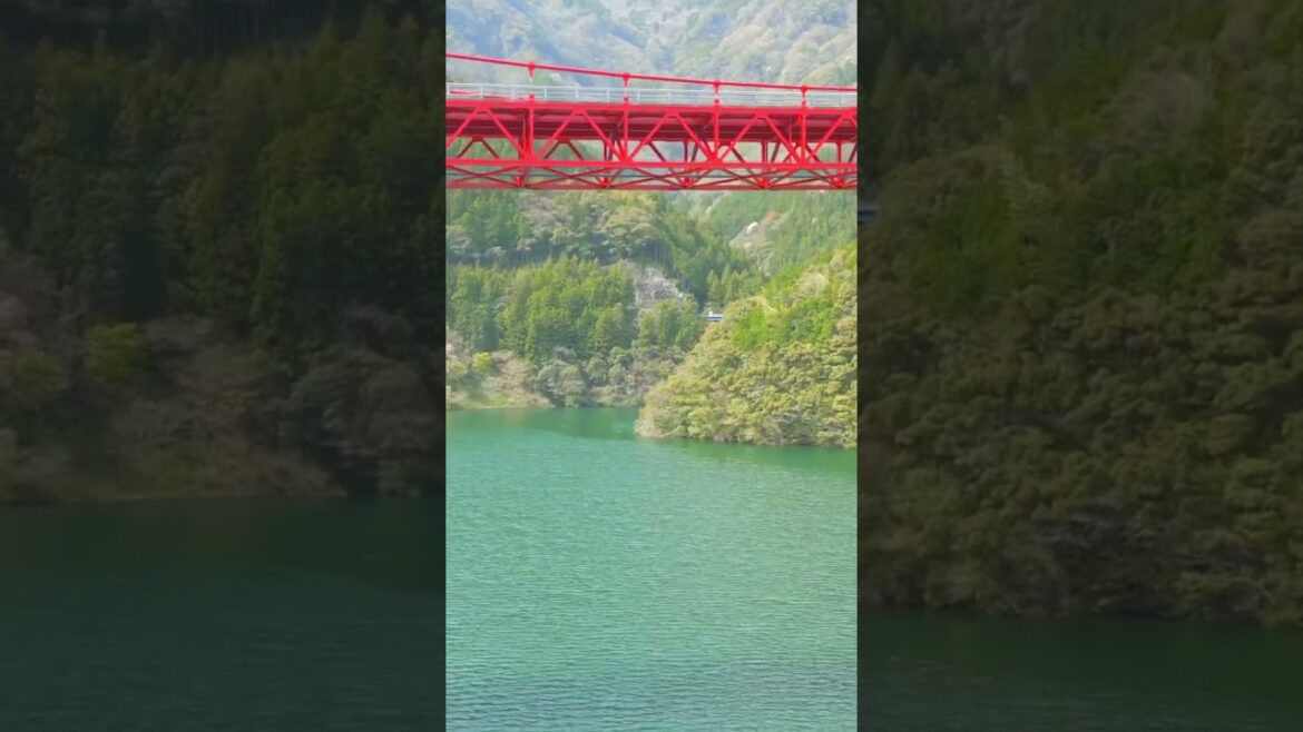 Drone x Japan – Kochi #japan #drone #shorts Drone x Japan - Kochi #japan #drone #shorts