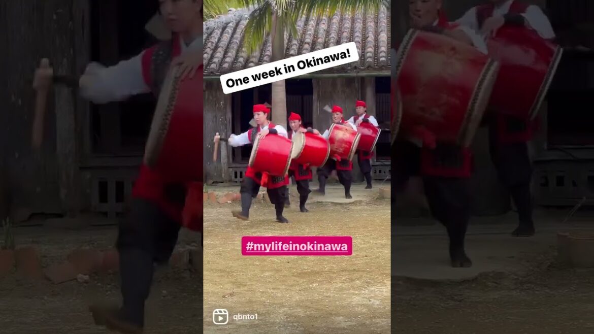 One week in Okinawa what did we do 🤔 #mylifeinokinawa #okinawa #japaneseisland