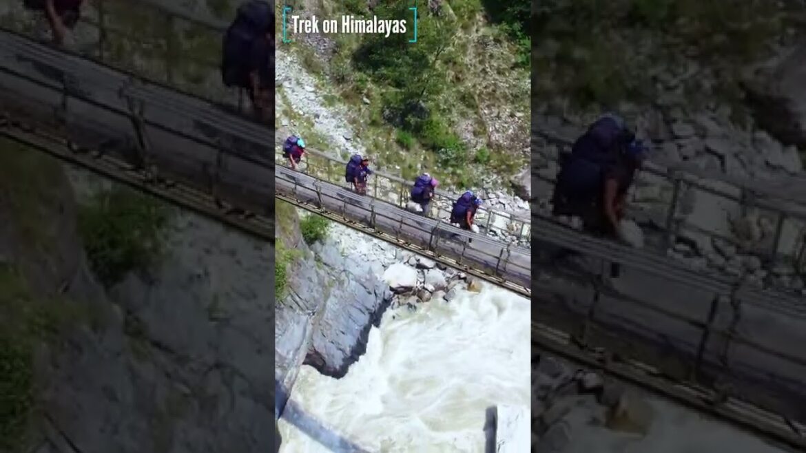 Trek on Himalayas between the hills & mountains above mountainous river Ganga | The Great Himalayas