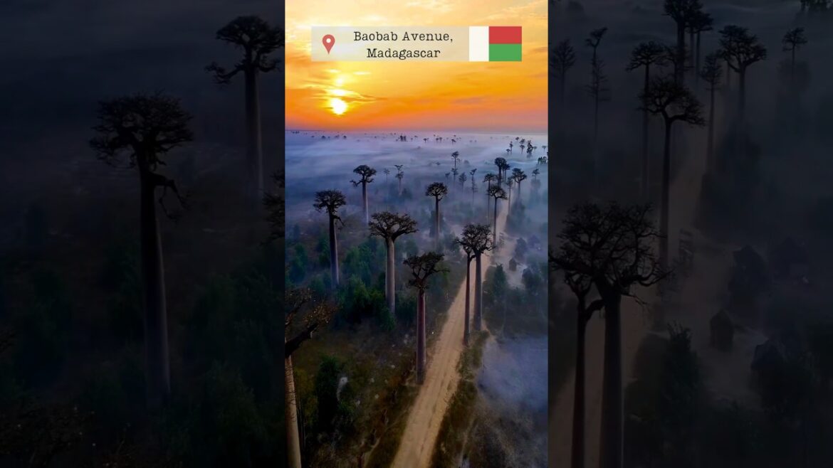 Places on Earth That Don’t Feel Real Part 28 - Madagascar, Faroe Islands, Philippines, Italy