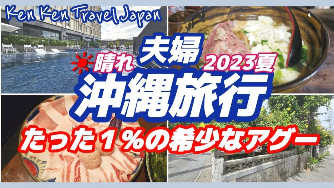 夏の沖縄旅行【その1】たった１％の希少なアグー 沖縄そば  国際通りぶらり散歩