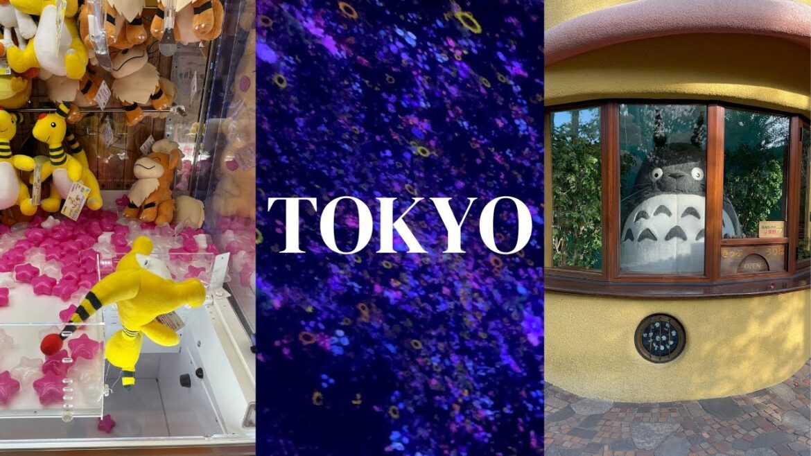 IRLVlog POST COVID Japan trip: Tokyo First Stop (Teamlab, Hashi 84, Tokyo Dome, Ghibli Museum) IRLVlog POST COVID Japan trip: Tokyo First Stop (Teamlab, Hashi 84, Tokyo Dome, Ghibli Museum)