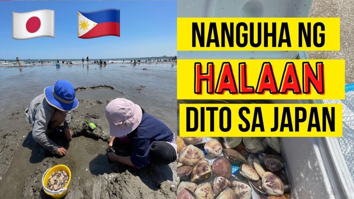 Let’s dig Asari Clams at Oarai Sun Beach Japan