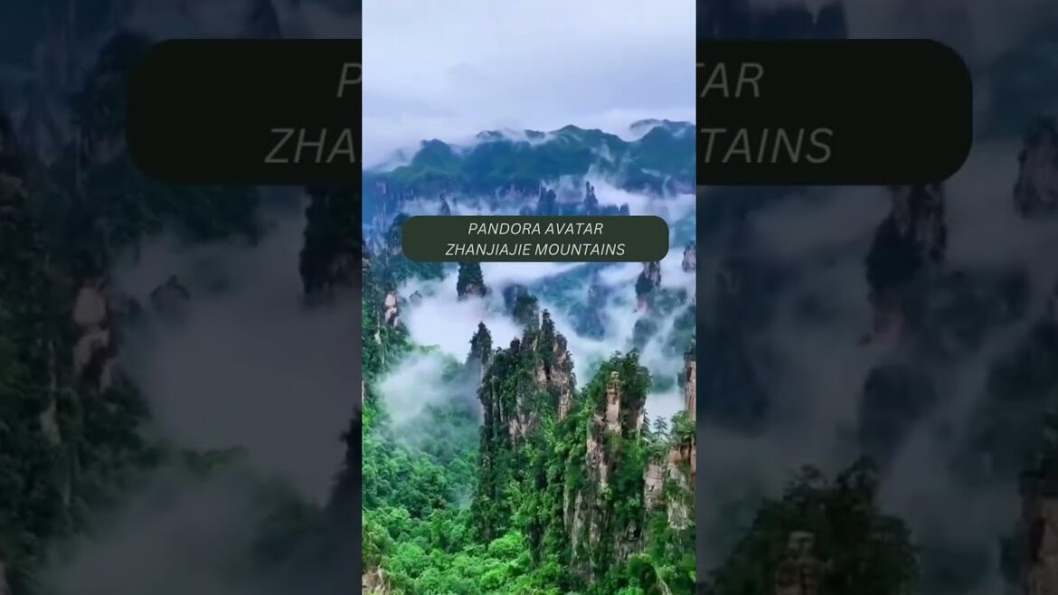 Avatar PANDORA Zhangjiajie Mountains with lush forests CHINA