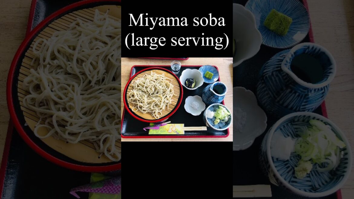 【Travel Japan】- Yummy Japanese food at a soba restaurant at 4091 feet altitude