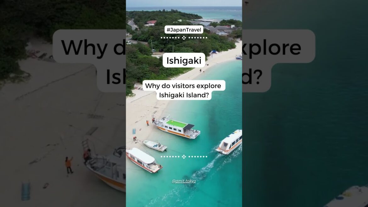 Japan 30/50 - Escape to Ishigaki