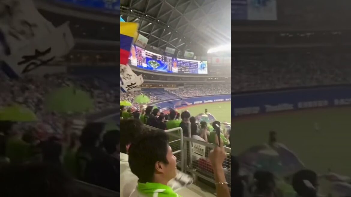 Amazing Tokyo Swallows Baseball Crowd Anthems #tokyoswallows