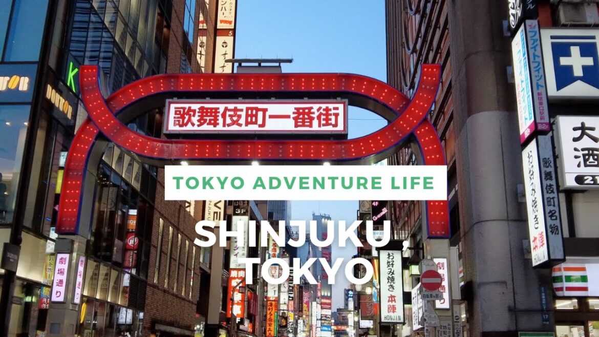 Walking Around Tokyo (Shinjuku) 新宿